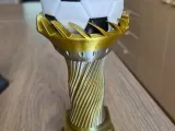Balloon - Trophy - Medium Size - MultiColor (20cm)-1