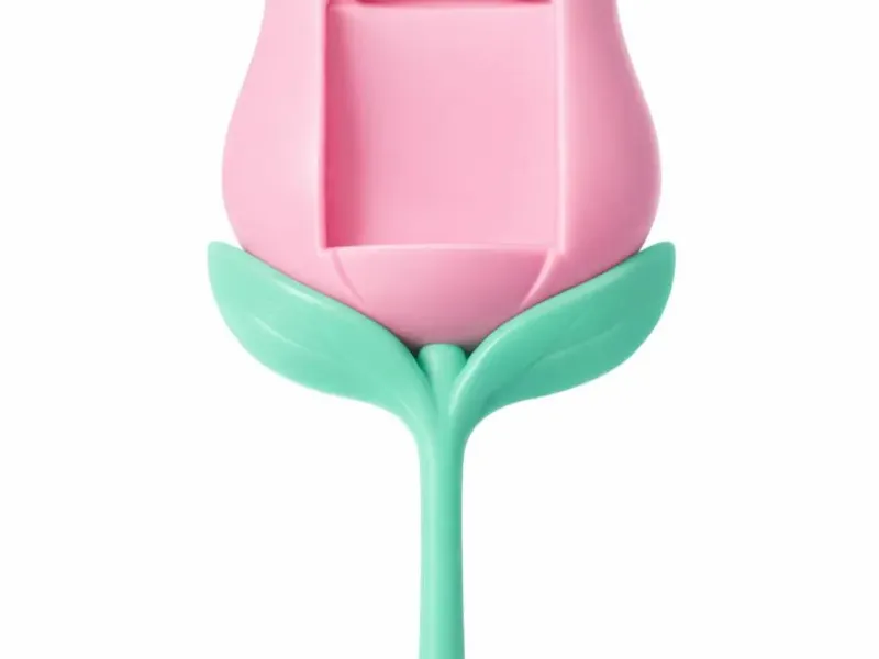 Tulipa