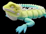 Flexible Iguana-3