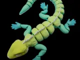 Flexible Iguana-2
