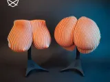 Quantum Tits & Ass-4
