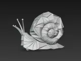 snail-2