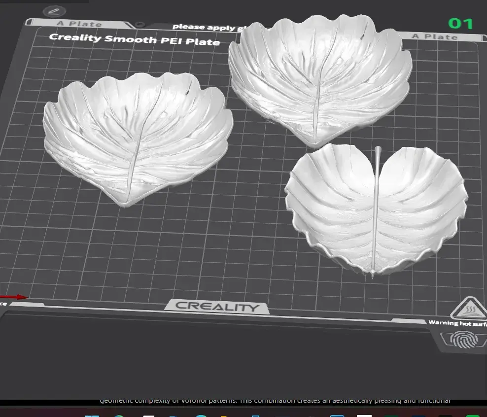 Organic Leaf Plate Set