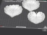 Organic Leaf Plate Set-1