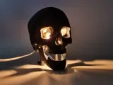 Anatomical Skull Lamp with Snap-Fit Legs-3