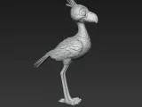 Dodo-5