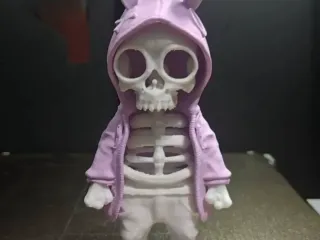 Rabbit skeleton