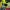 Go Pro 3 lightweight frame