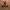 Netflix Logo