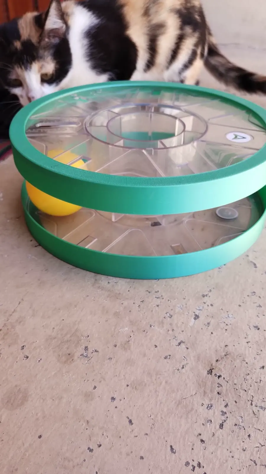 KITTEN CREALITY SPOOL GAME