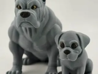 Модель Кане-корсо
