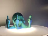 Flip Offtopus Licht -1