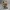 Wukong Radiant Miniatur LOL Fan-Art