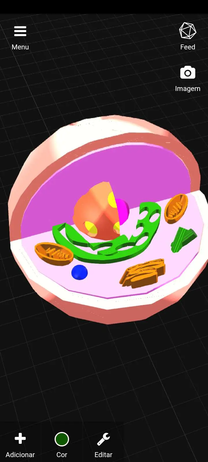 Cell / Célula