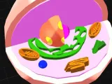 Cell / Célula-6