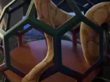 enrichment for snake -0