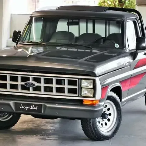 Ford f1000 