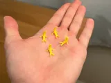 Mini Banana Buddy-2