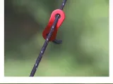 Outdoor Tent Tarp Fixed Sliding Adjuster Buckle-2
