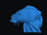 Carp Head-2