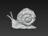 snail-3
