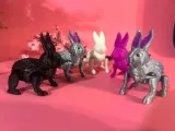 JUMPING BUNNY!!!-1