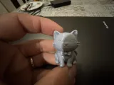 Cute Cat 🙀-4