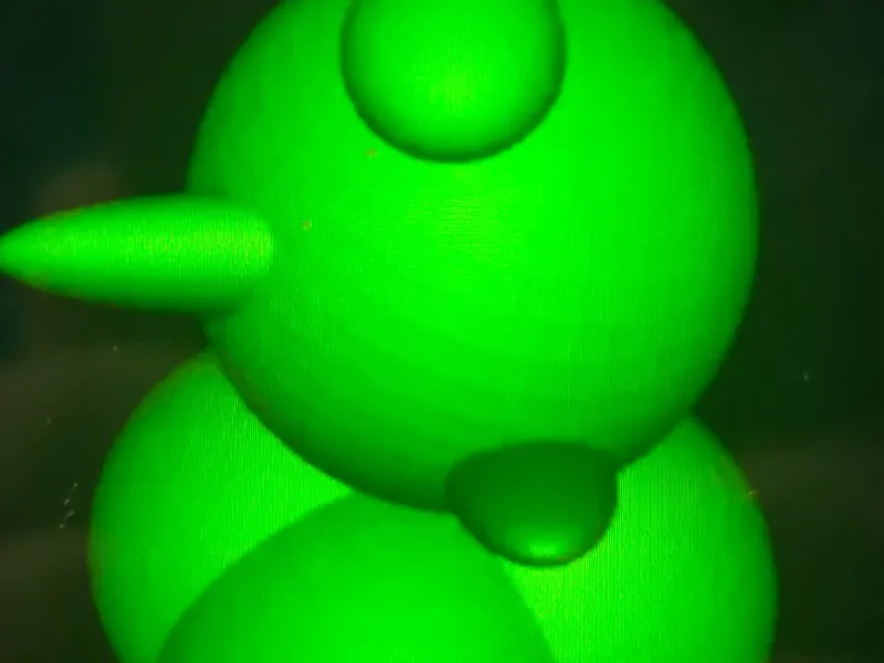 Blobber Kiwi