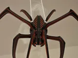 Spider Kit Card - 2-1