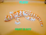 gecko_flexi-3