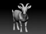 Goat model - decor Urban vibes - 3D print-2