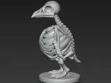 Skeleton Penguin-3