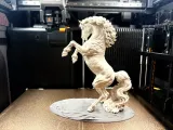 Realistic Horse-4