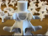 vertebra eğtim modeli -0
