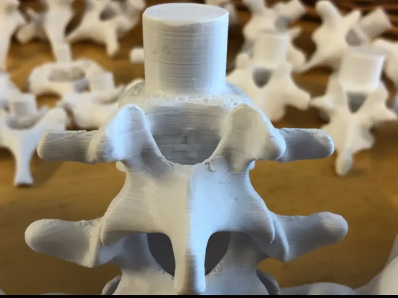 vertebra eğtim modeli 