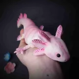 ARTICULATED AXOLOTL
