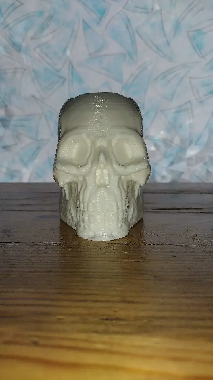 skull vase or skull pen holder 