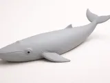 Blue whale-2