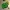 Imán de nevera con el logo de Hay Day