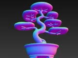 Bonsai Baum-2