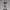 Shadow Velvet Sovereign – Ecchi Noir Elegance