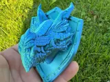 Dragon Guardian Shield-1