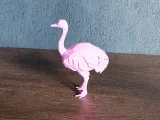 Low Poly Ostrich-5