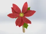نبتة الكريسماس-7