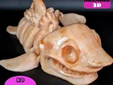 Flexi Skeleton Shark-3