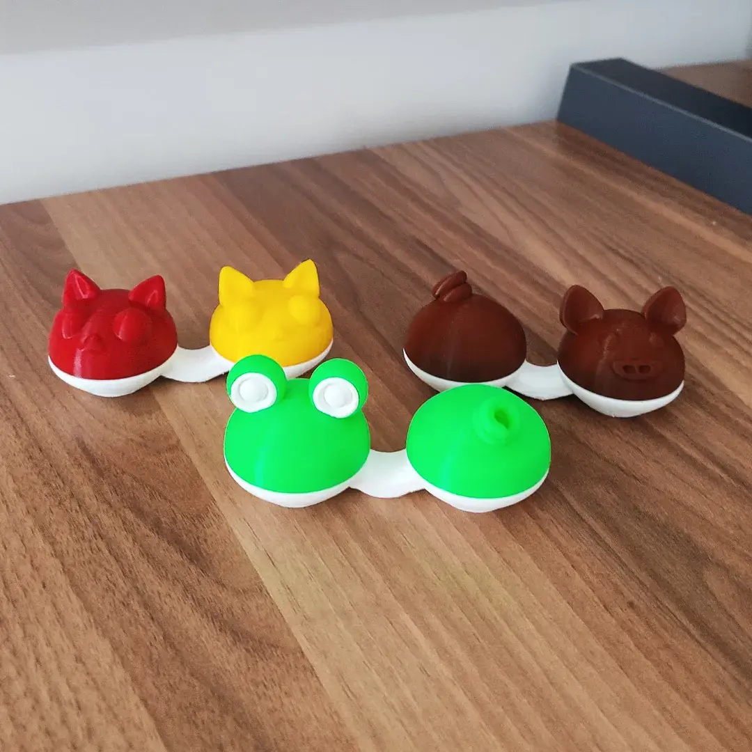 Contact Lens Case