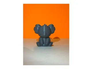 koala