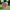 OVEJA PELICULA MINECRAFT / 3MF COLOR 
