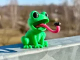 Frog with insect-2