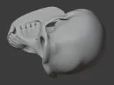 Bonobo Skull-5